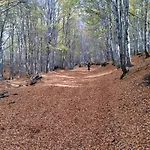 Dom wakacyjny Uvatanta Trecastagni